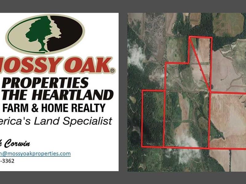 524 Private Duck Hunting Club, Farm for Sale in Missouri, 262297