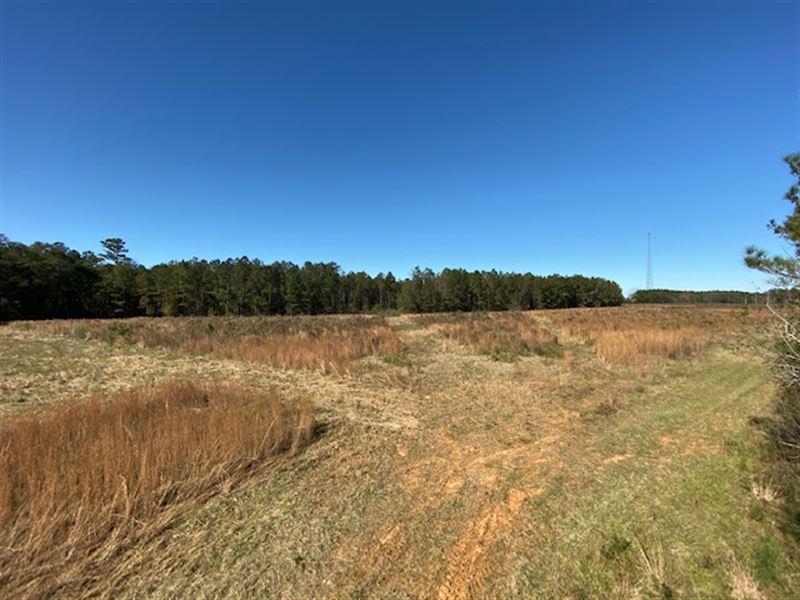 Great Hunting and Timber Tract : Plains : Sumter County : Georgia
