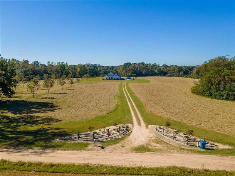 Stoney Hill Church Rd : Reidsville : Tattnall County : Georgia