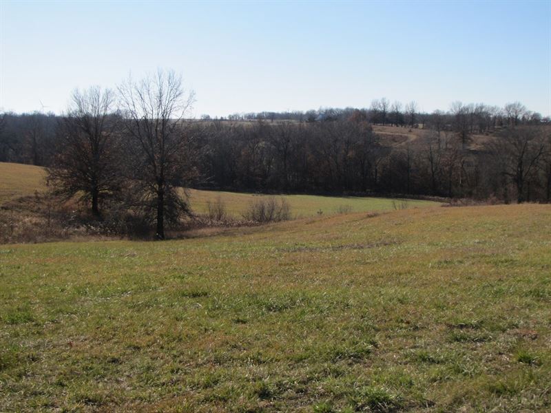 Northeast Missouri Pasture Farm, Farm for Sale in Missouri, 262568