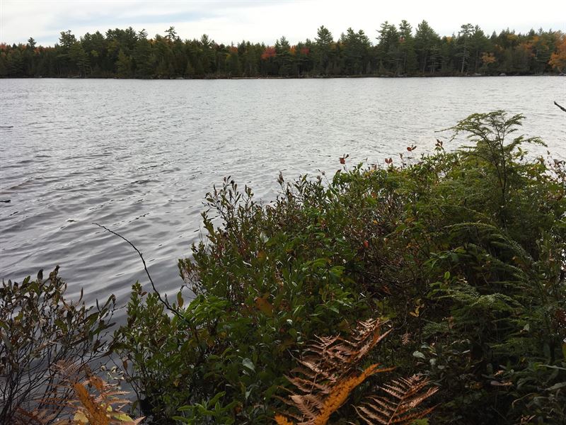 Lakefront Real Estate in Maine Farm for Sale in Lexington, Somerset