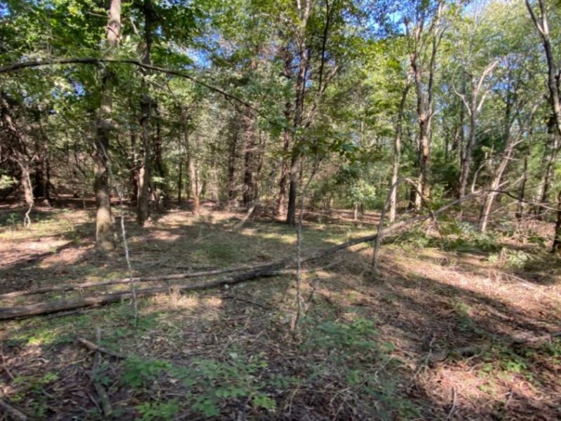 38 Acres In Sunflower County In Rul Farm for Sale in Ruleville