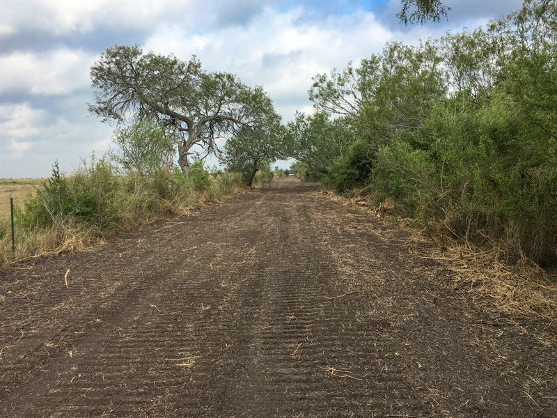 Schaffer Ranch Estates, Tract C : Orange Grove : Jim Wells County : Texas