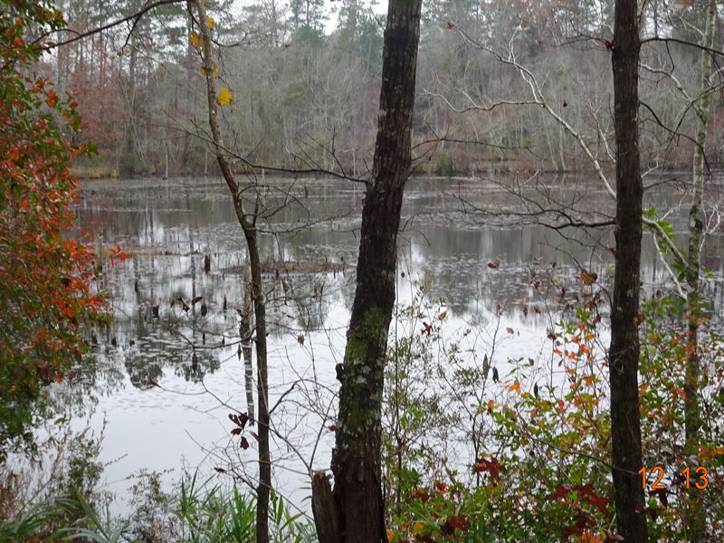 Great Recretional & Timber Tract, Farm for Sale in 262871