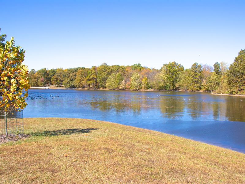 Taylorville Building Site on Lake, Farm for Sale in Illinois, 263051