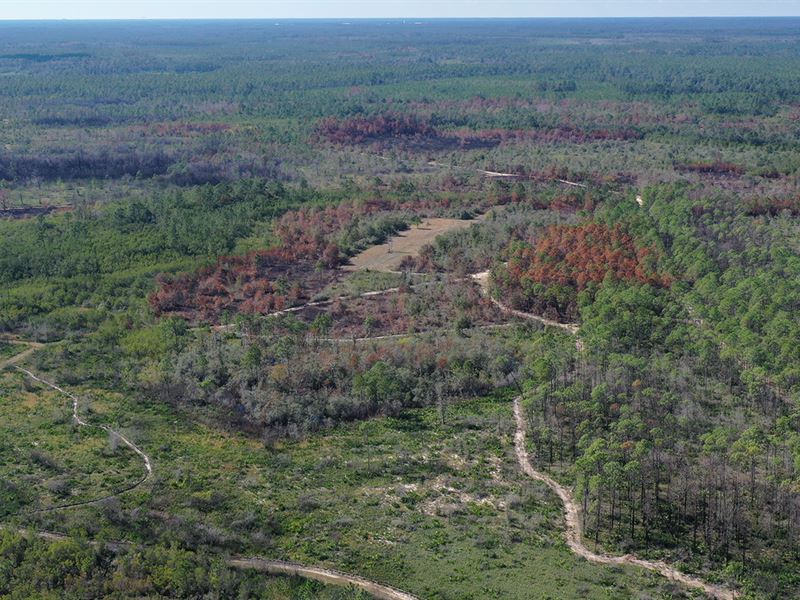 Southport Recreational Investment : Southport : Bay County : Florida