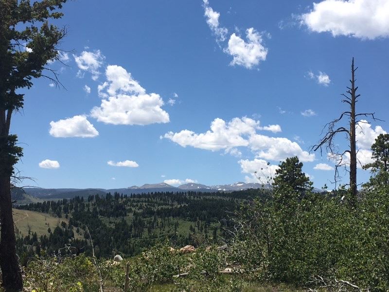 Homestead Park Retreat, Lander, Farm for Sale in Wyoming, 263207