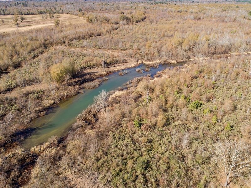 TX Deer Duck Hog Hunting Land Rusk, Farm for Sale in Texas, 263241