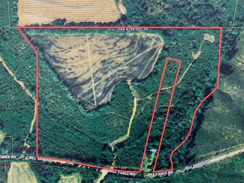 Land in Houston County, Alabama Farm for Sale in Columbia, Houston