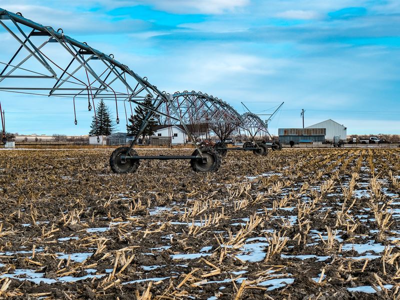 Pierce Irrigated Organic 45 : Pierce : Weld County : Colorado