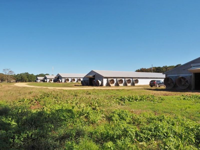 poultry farm for sale in md poultry farm for sale in md