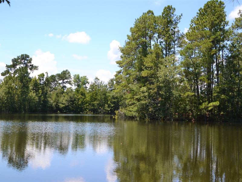 Farm with 3.5 Acre Lake : Conway : Horry County : South Carolina