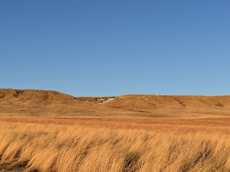 Montana Land for Sale, Acreage, Farm for Sale in Montana, 263573