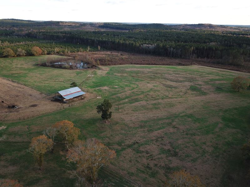 Coffee County Cattle Farm & Home, Farm for Sale in Alabama, 263619
