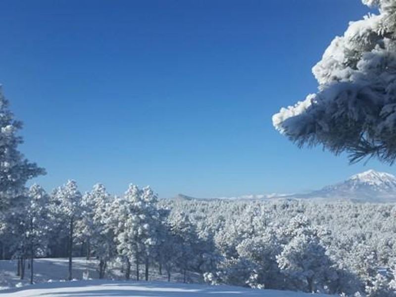 148 Blackhawk Ranch : Walsenburg : Huerfano County : Colorado