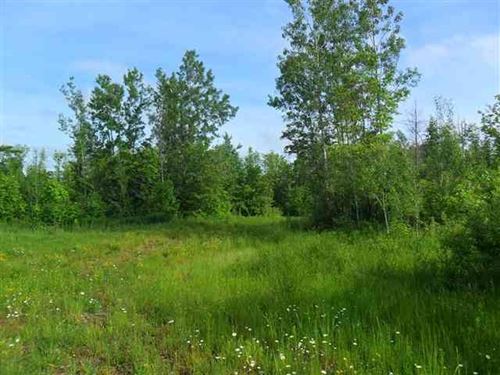 Western U.P. 320 Rec Acres : Greenland : Ontonagon County : Michigan