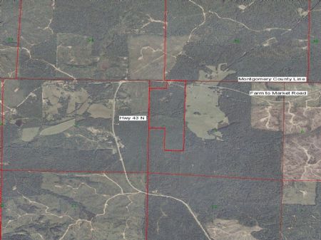 93 Acres Plantation Pine : Kosciusko : Attala County : Mississippi