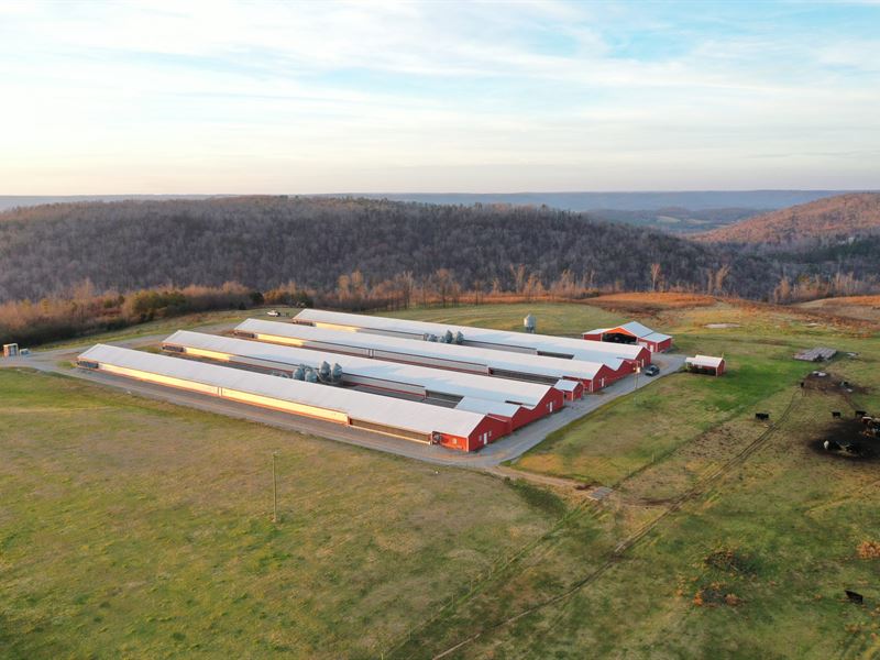 Parker Farm, Farm for Sale in Alabama, 263831 FARMFLIP