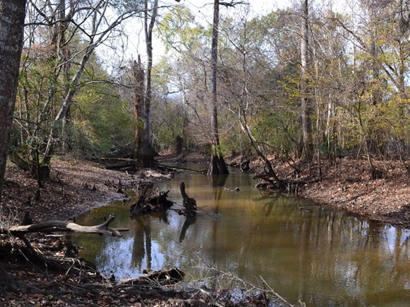 Turkey Creek : Dublin : Laurens County : Georgia