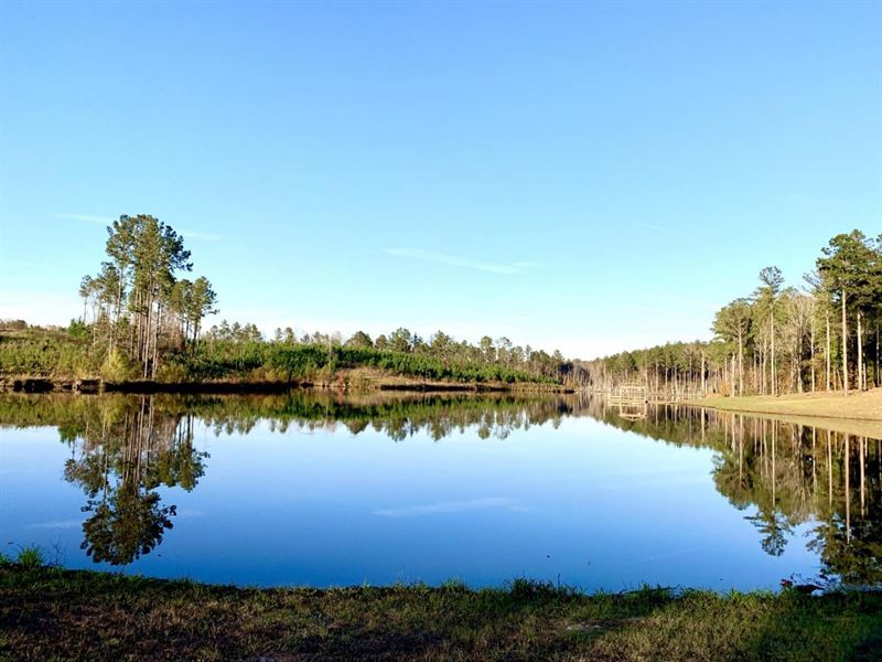 348 Acres in Marengo County, Farm for Sale in Alabama, 263932 FARMFLIP