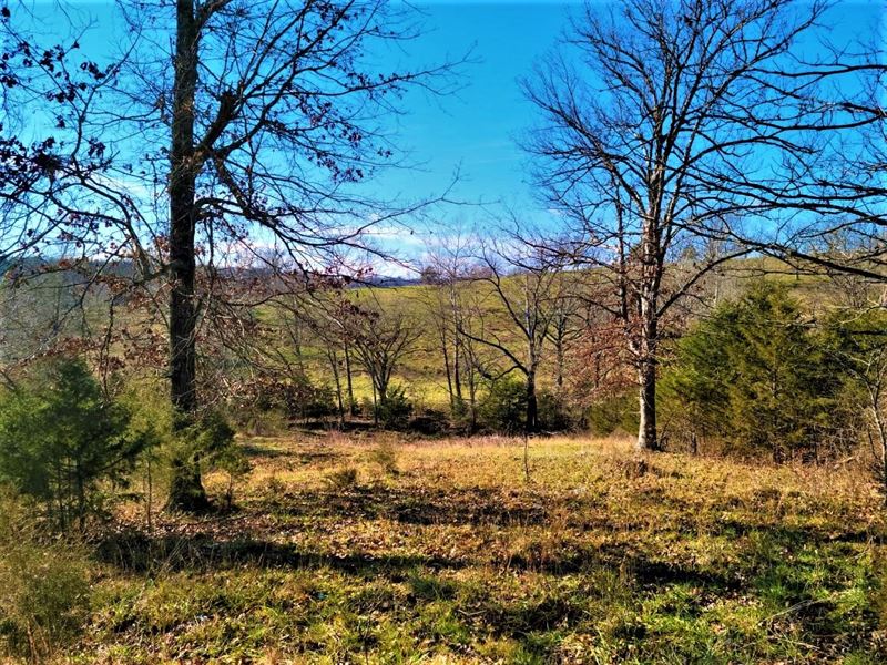 Farm & Ranch Hunting Land Ozark, Farm for Sale in Missouri, 263941