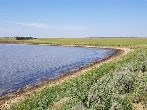 320 Acres ag Exempt Land Hunting : Woodson : Throckmorton County : Texas