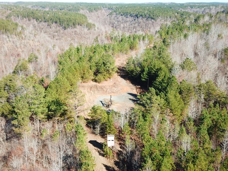 Tuscaloosa Hunting & Timber Invest, Farm for Sale in Alabama, 263969