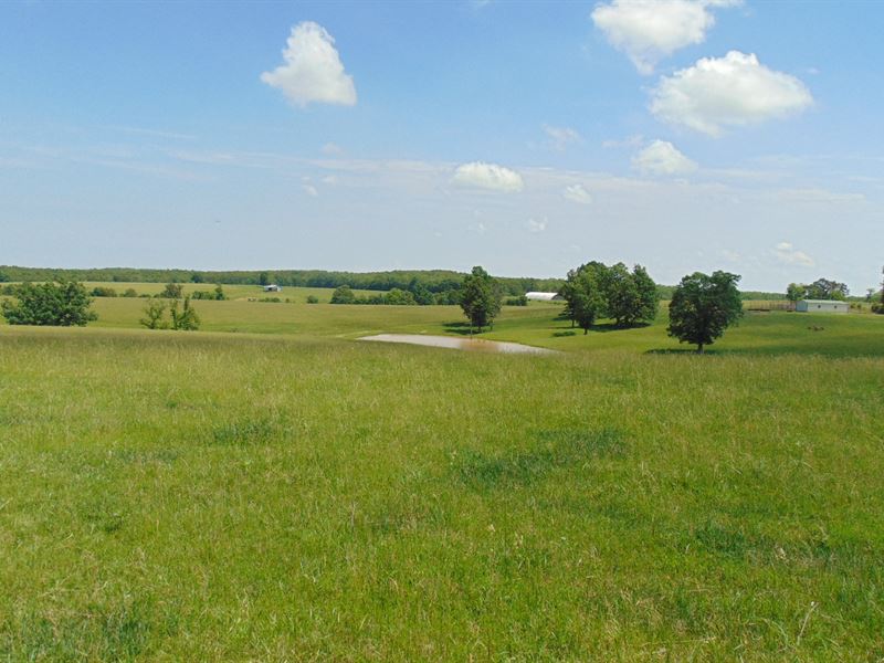 Wright County Cattle Ranch for Sale : Hartville : Wright County : Missouri