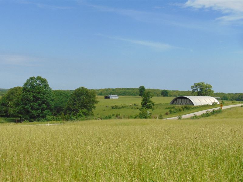 Missouri Cattle Ranch for Sale : Hartville : Wright County : Missouri