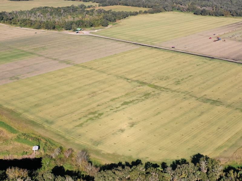 Sod Farm Zolfo Springs, Farm for Sale in Florida, 264350 FARMFLIP