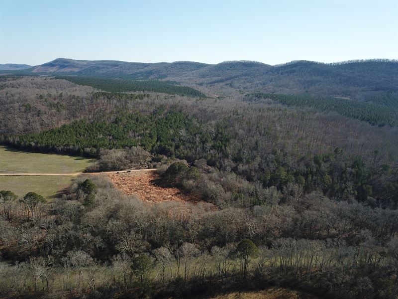 565 Acres, River Tract : Lyerly : Chattooga County : Georgia