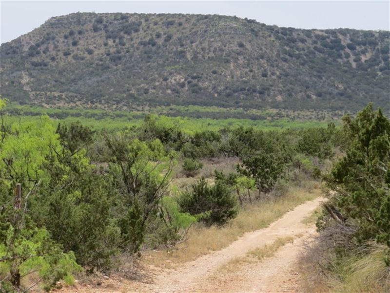 Back on Market, Green Mountain 21 : Robert Lee : Coke County : Texas