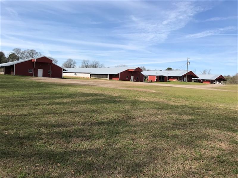 Four House Poultry Breeder Farm Farm for Sale by Owner in Goshen