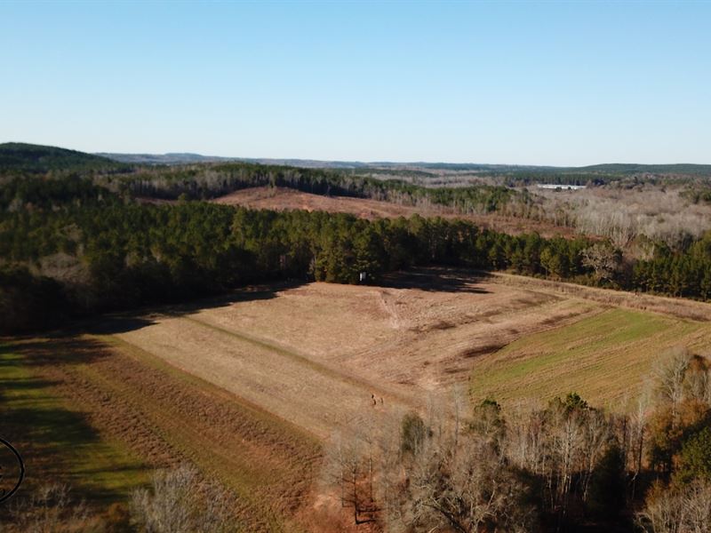 Hilltop Farms, Farm for Sale in Alabama, 264729 FARMFLIP