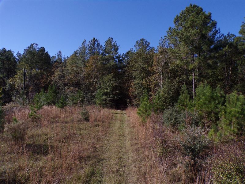 Altamaha River Homesite, Farm for Sale in 264824 FARMFLIP