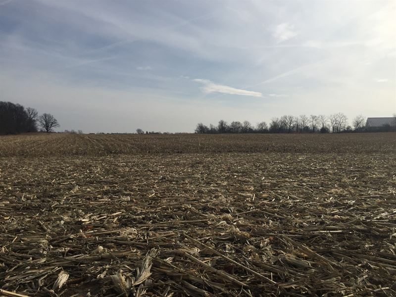 Acreage for Sale Selma, Indiana, Farm for Sale in Indiana, 265115