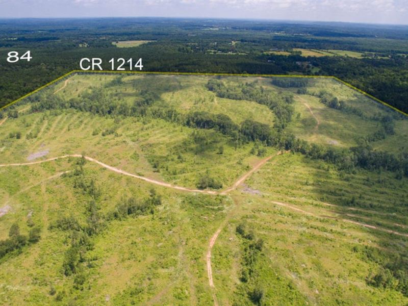 315 Acres Cooke Creek Cr 1214 : Rusk : Cherokee County : Texas