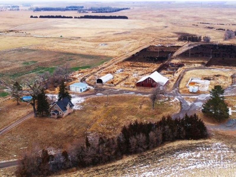 Brady Feedlot and Acreage : Brady : Lincoln County : Nebraska