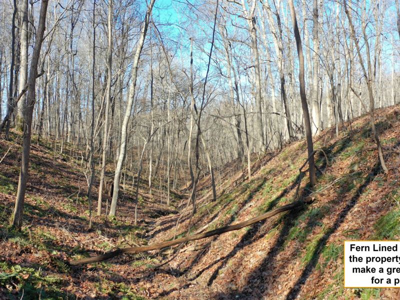 Hunting Land for Sale in Missouri, Farm for Sale by Owner in Missouri