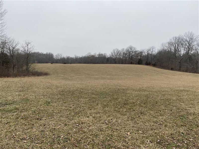 Land For Sale County, India Farm for Sale in Paragon,