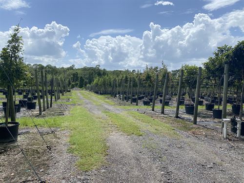 Florida Nursery Farms For Sale Farmflip