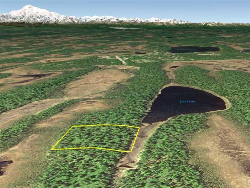 Creek Frontage With Lake And State Farm for Sale in Trapper Creek