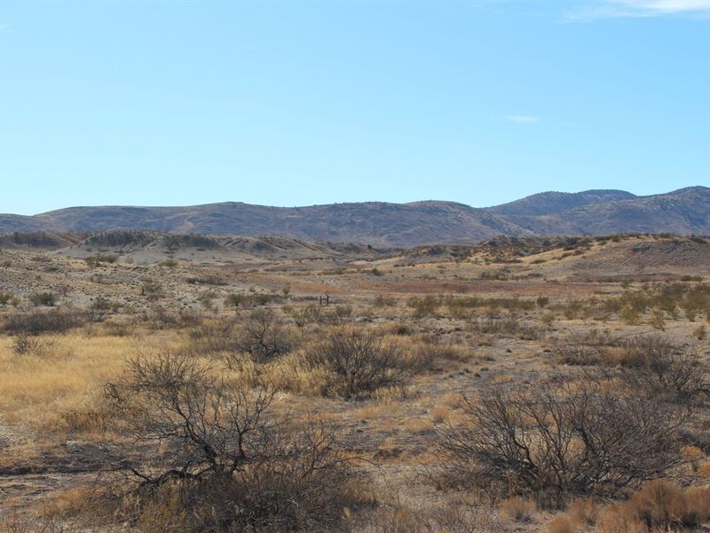 36 Head Chico Ranch, Duncan, AZ, Farm for Sale in Arizona, 265637