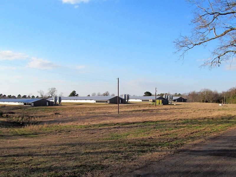 Poultry Farm, Country Home, 28, Farm for Sale in Texas, 265653 FARMFLIP