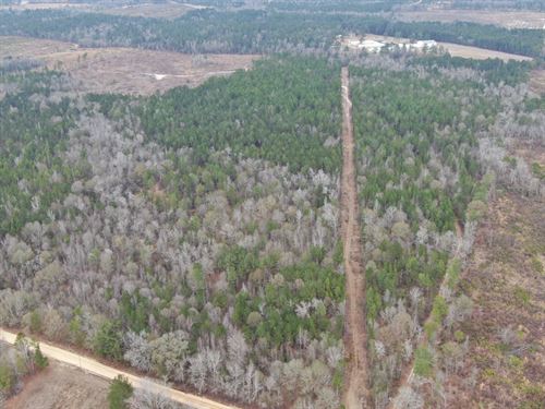 Hunting Recreational Tract Laurens : Dublin : Laurens County : Georgia