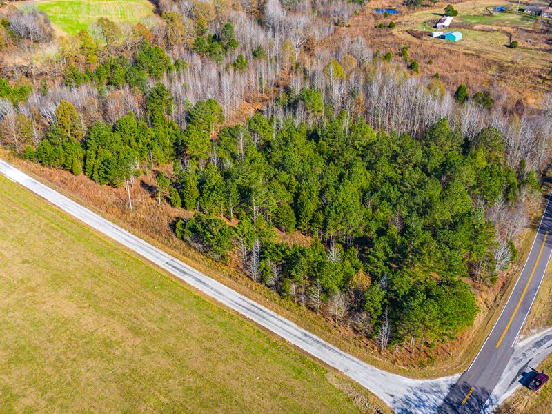 Wooded Retreat with Hillside Views : Sardis : Henderson County : Tennessee