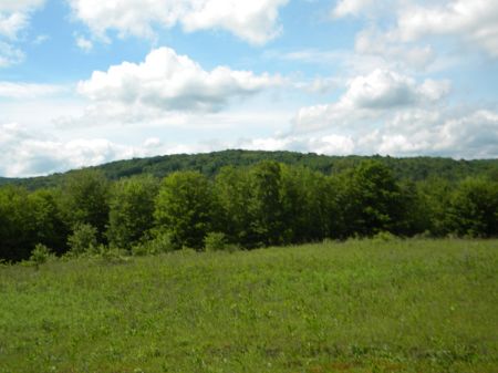 30 Acres Mineral Rights Near Forest : Beaver Dams : Schuyler County : New York