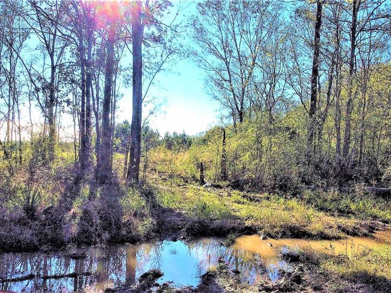 Bayou Des Cannes Tract, Acadia Par, Farm for Sale in Louisiana, 265898