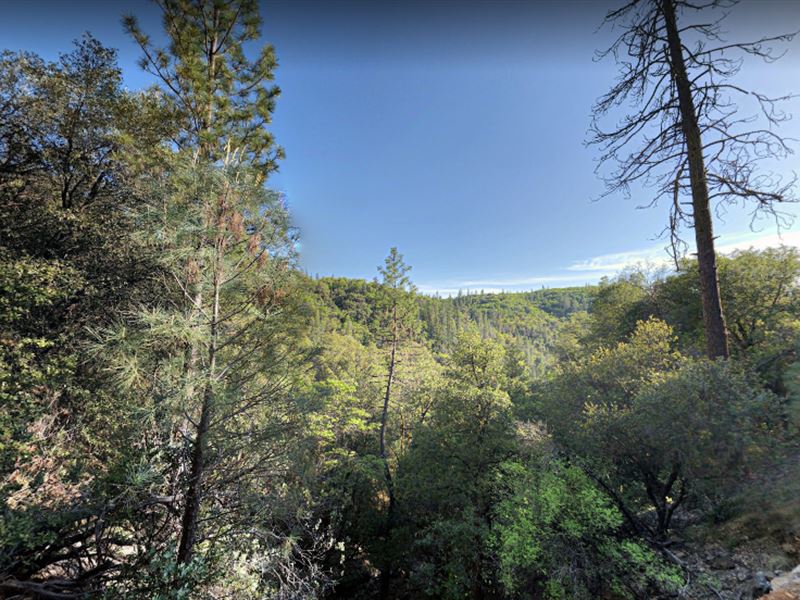 9 Acre Property in Tuolumne County, Farm for Sale by Owner in