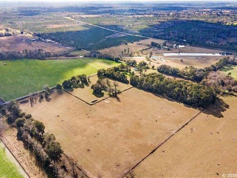 Acreage in Alachua FL, Farm for Sale in Florida, 266135 FARMFLIP